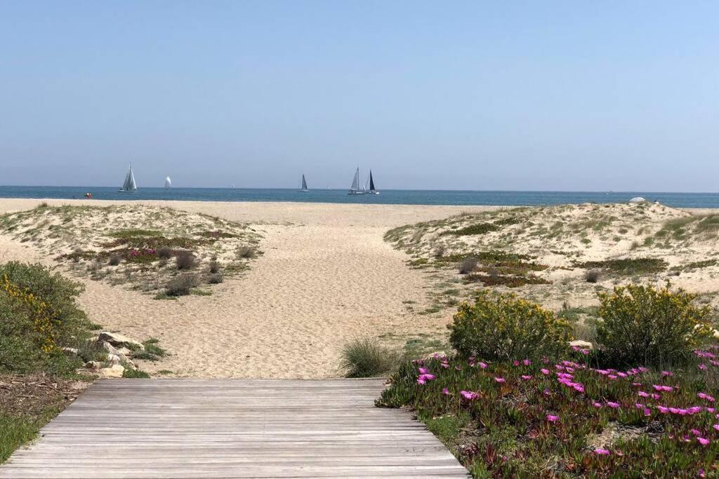 Barcaresa-La Perle Vue Mer Pieds Dans L'Eau Clim Wifi Leucate Buitenkant foto
